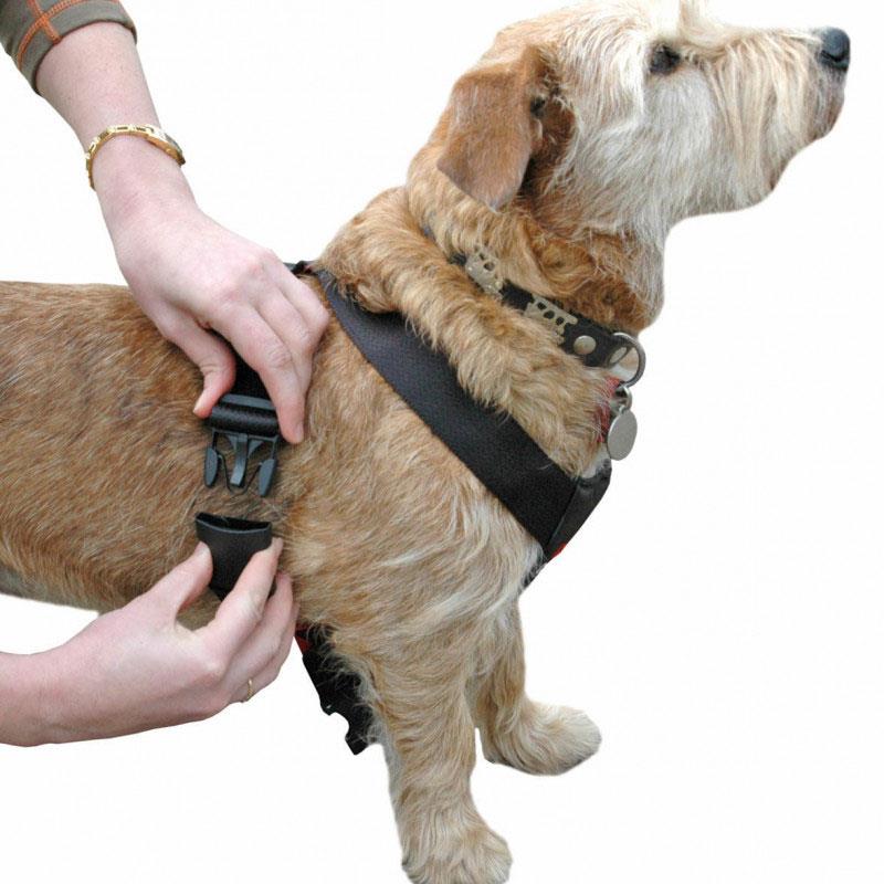 Harnais de sécurité voiture pour chien : Clix Car Safe 
