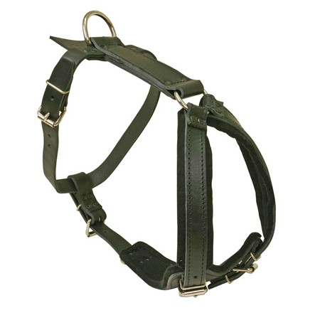 Harnais Difac Cuir Motivation Luxe