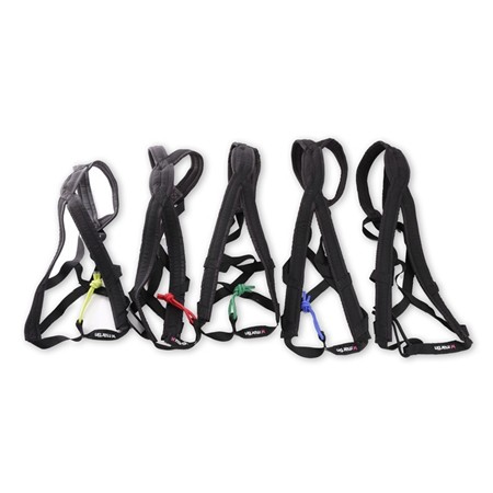 HARNAIS NYLON CANICROSS MARTIN SELLIER XBACK