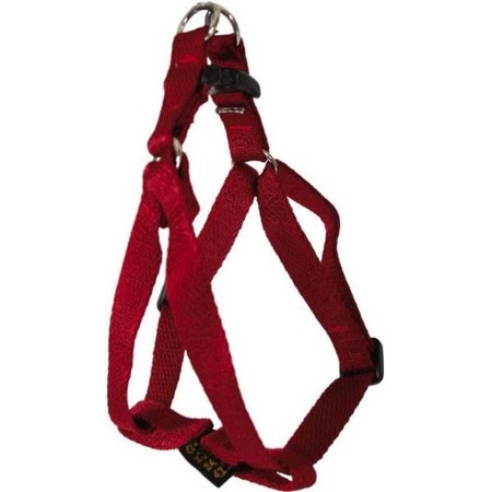 Harnas Gordel Arka Haok Rubis