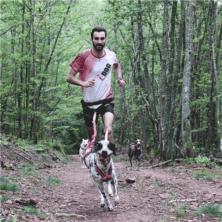HARNAS I-DOG CANICROSS X-BACK GAMME ONE - ROSE