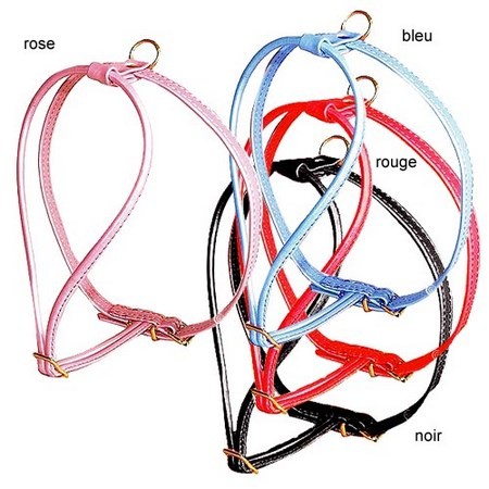 Harnas Voor Hond Bobby Irise