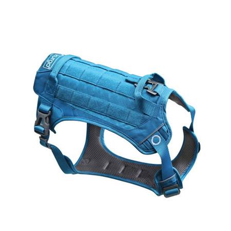 Harness Kurgo County - Azure Blue