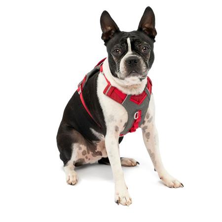 HARNESS KURGO JOURNEY AIR - RED