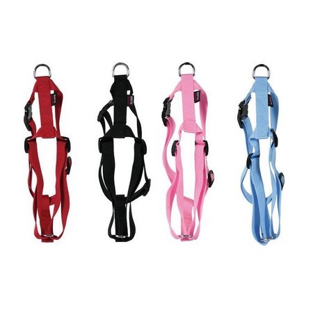 Harness Martin Sellier