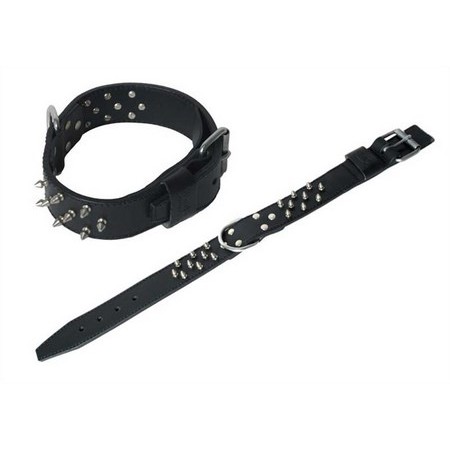 Honden Halsband Leer Genageld