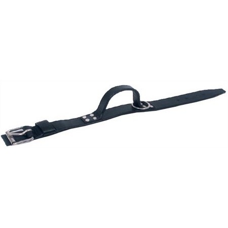Honden Halsband Met Handvat Leer