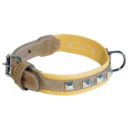 Honden Halsband Montana