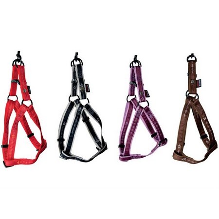Honden Tuig Martin Sellier Pets Connection