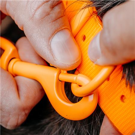 HONDENRIEM EUROHUNT DE REMORQUAGE HP&G AVEC MOUSQUETONS