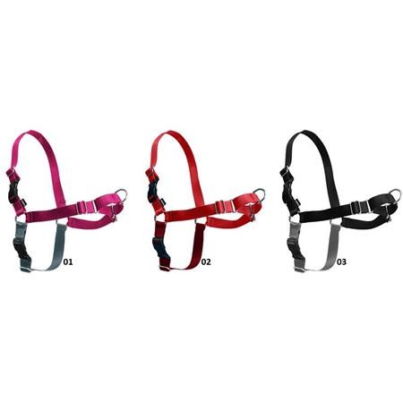 Hundegeschirr Premier Easy Walk