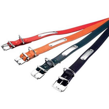 Hundehalsband Flaches Leder Rive