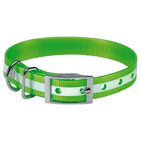 Hundehalsband Stepland Phosphorescent - 60Cm