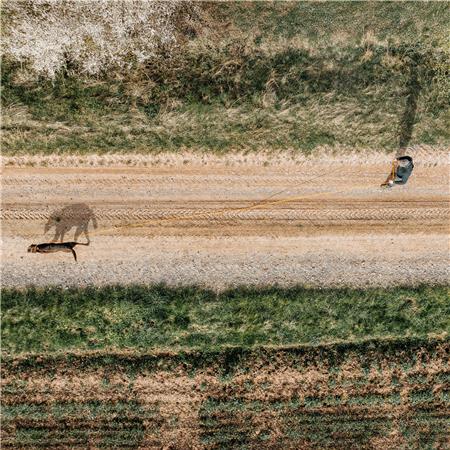 HUNDELEINE EUROHUNT DE REMORQUAGE HP&G AVEC MOUSQUETONS