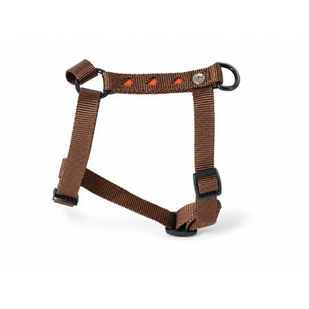 Ιμάντασ-Σαμάρι Για Σκύλο Από Νάιλον Martin Sellier Πορτοκαλί Πεταλούδεσ