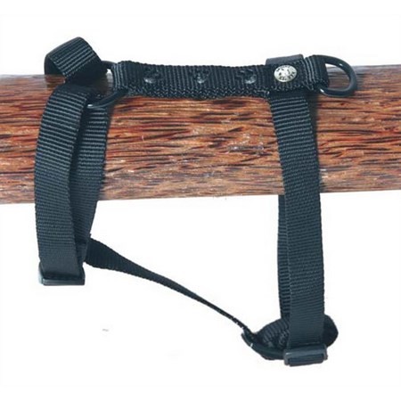 Imbracatura Cane Nylon Martin Sellier Pattes Silver
