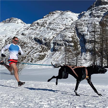 IMBRACATURA I-DOG CANICROSS X-BACK ONE