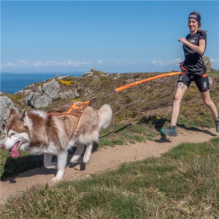 IMBRACATURA I-DOG CANICROSS X-BACK ONE