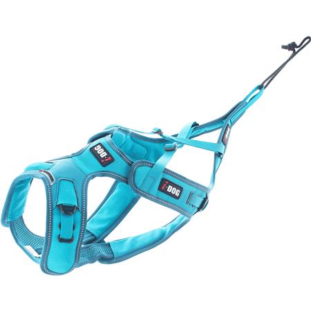 Imbrago I-Dog Canicross X-Back Phoenix Réglable - Bleu