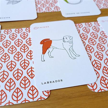 JOGO DE 7 FAMÍLIAS BINGO COLLECTION CHASSE