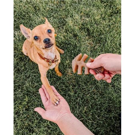 KAUKNOCHEN BENEBONE FISHBONE