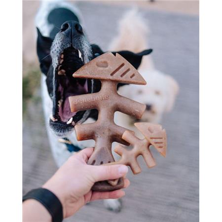 KAUKNOCHEN BENEBONE FISHBONE