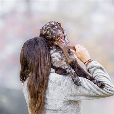 KAUKNOCHEN BENEBONE WISHBONE