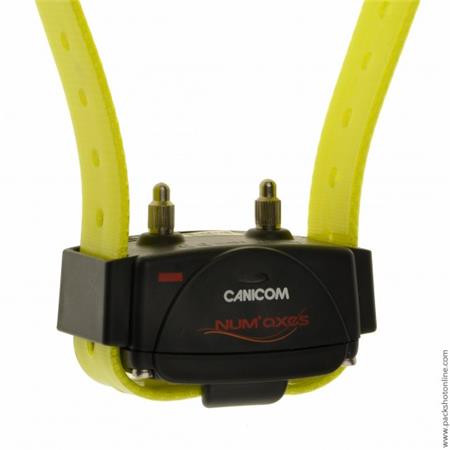 KOMPLETTES SET NUMAXES CANICOM 1500 2 CHIENS