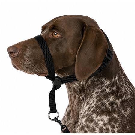 KOPFGESCHIRR HALFTER HUND