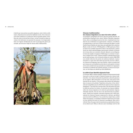 LA CHASSE DES PETITS MIGRATEURS