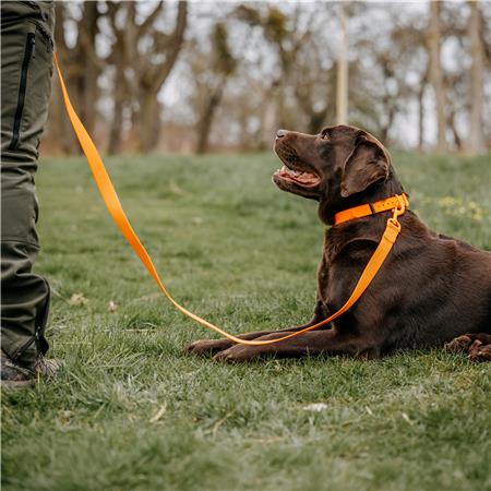 LAISSE CHIEN EUROHUNT ENTRAINEMENT HP&G AVEC DEUX MOUSQUETONS