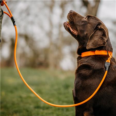 LAISSE CHIEN EUROHUNT ÉTANCHE HP&G AVEC MOUSQUETON