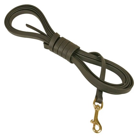 Laisse Difac Biothane - Noir