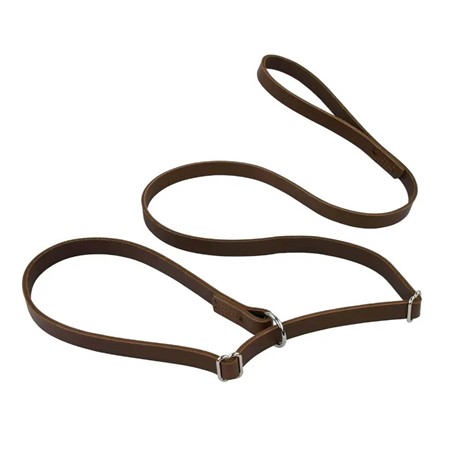 Laisse Difac Cuir Lasso - Marron