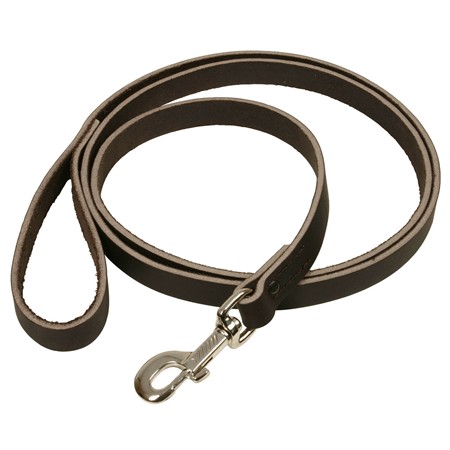 Laisse Difac Pro Cuir Chrome