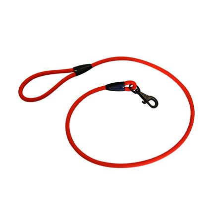 Laisse Somlys Dog Traqueur Tubulaire