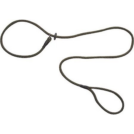 Lasso Leash Roc Import