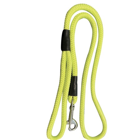 Leash With Snap Hook Roc Import