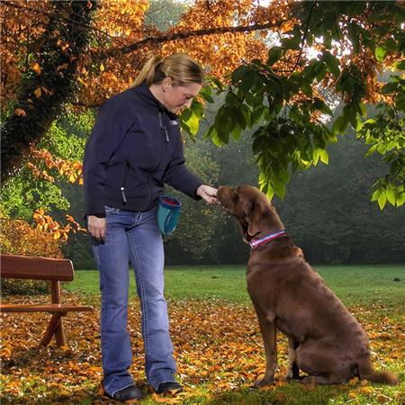 LECKERLIBEUTEL KURGO GO STUFF IT