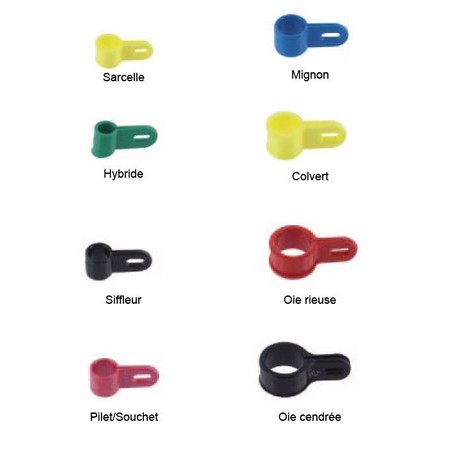 Legame Di Plastica Fuzyon Chasse