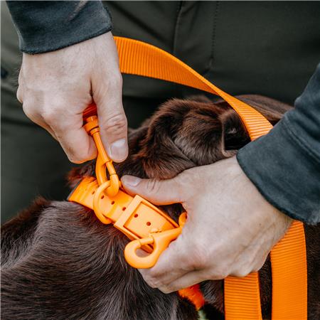 LIJN HOND EUROHUNT TRAINING HP&G MET TWEE KARABIJNHAKEN