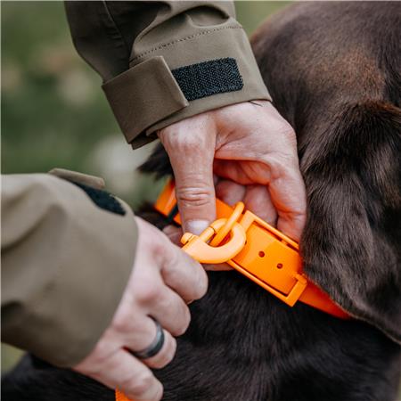 LIJN HOND EUROHUNT TRAINING HP&G MET TWEE KARABIJNHAKEN