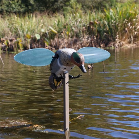 LLAMADOR MOJO - SARCELLE D'HIVER