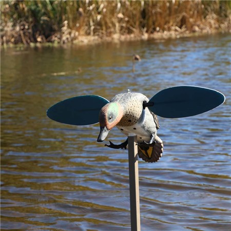 LLAMADOR MOJO - SARCELLE D'HIVER