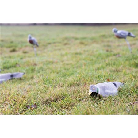 LOCKEND EUROHUNT PIGEON LEURRE DEMI-COQUILLE