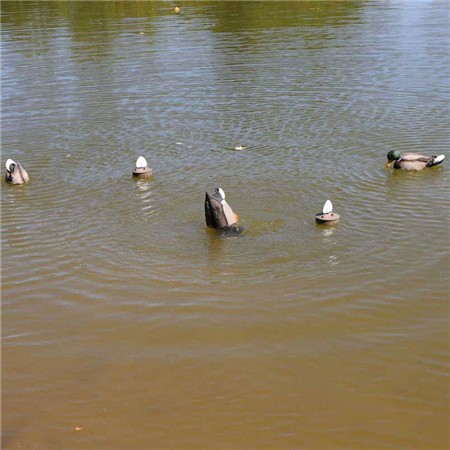 LOCKRUF MOJO MACHINE - COLVERTS