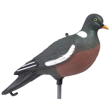 Lockrufer Stepland Pigeon Ramier Hd