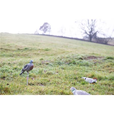 LOCKVOGEL EUROHUNT PIGEON LEURRE À COQUILLE PLEINE