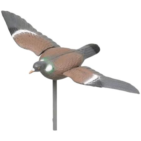 Lockvogel Fritzmann Pigeon À Ailes Battantes