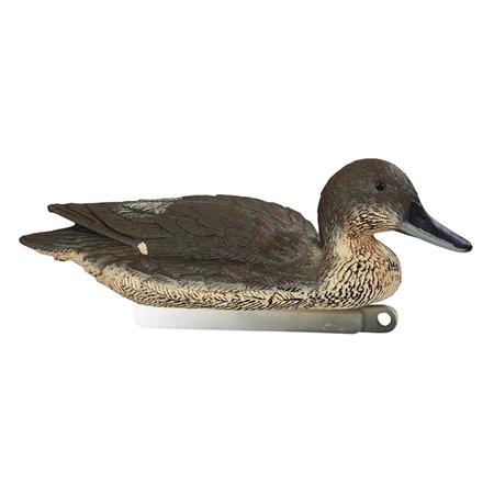 Lockvogel Stepland Pilet Femelle